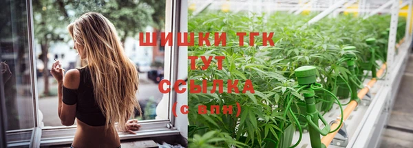 2c-b Богородицк